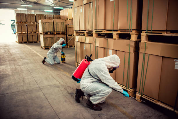Best Affordable Pest Control Services  in Miami Gardens, FL