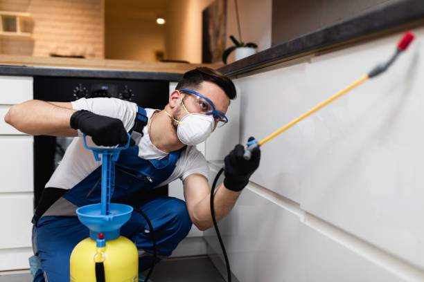 Best Pest Inspection Near Me  in Miami Gardens, FL