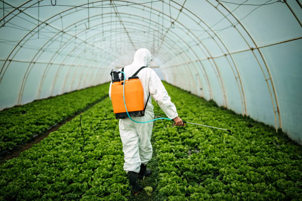 Best Emergency Pest Control  in Miami Gardens, FL