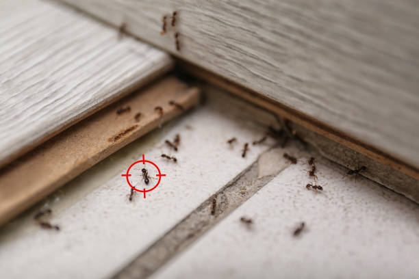 Wildlife Control Services in Miami Gardens, FL