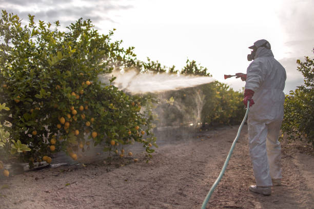 Best Residential Pest Control  in Miami Gardens, FL