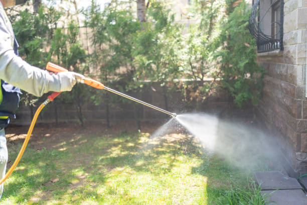 Best Best Pest Control Companies  in Miami Gardens, FL