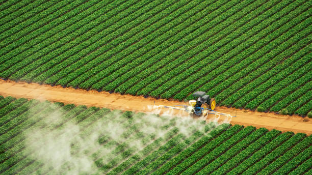 Best Pest Control for Businesses  in Miami Gardens, FL