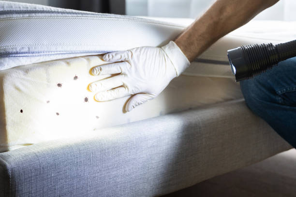 Best Pest Control Near Me  in Miami Gardens, FL