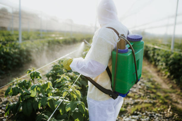 Best Residential Pest Control  in Miami Gardens, FL